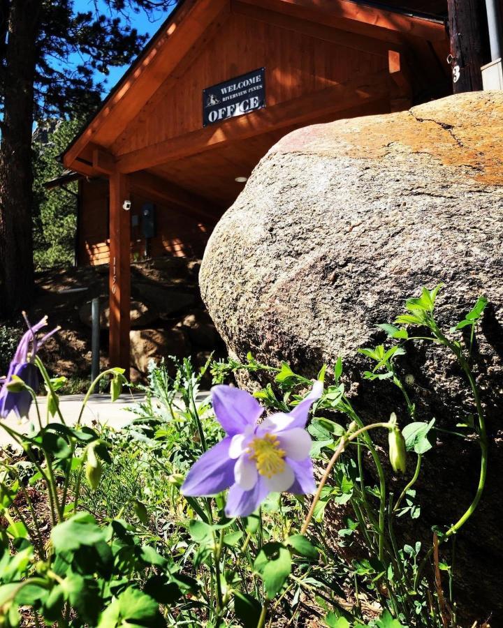 Villa Riverview Pines Estes Park Exterior foto