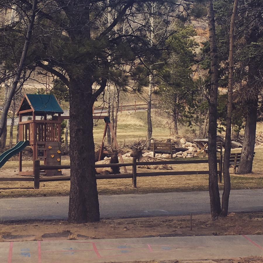 Villa Riverview Pines Estes Park Exterior foto