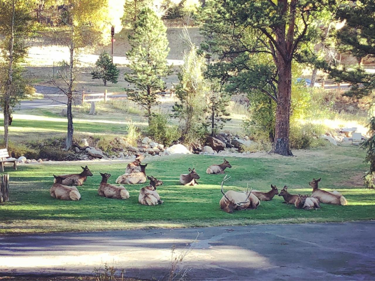Villa Riverview Pines Estes Park Exterior foto